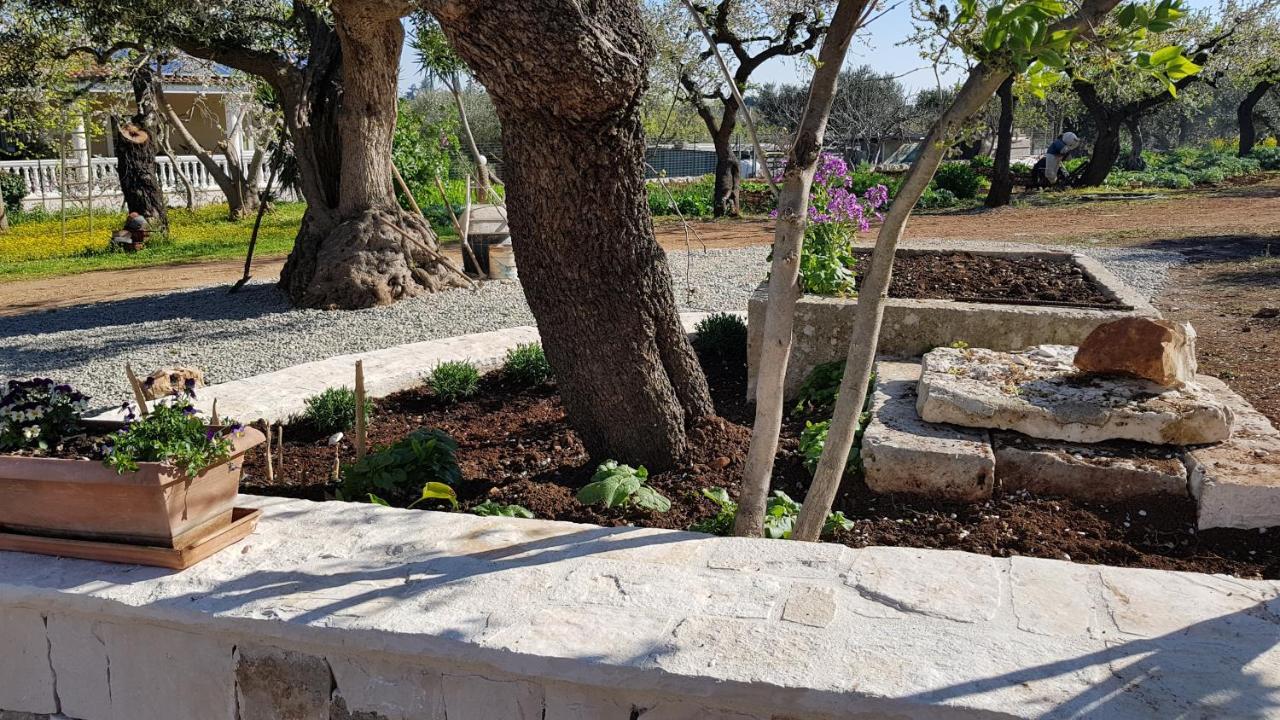 Гостевой дом Il Trullo Di Nonna Lella Кастеллана-Гротте Экстерьер фото