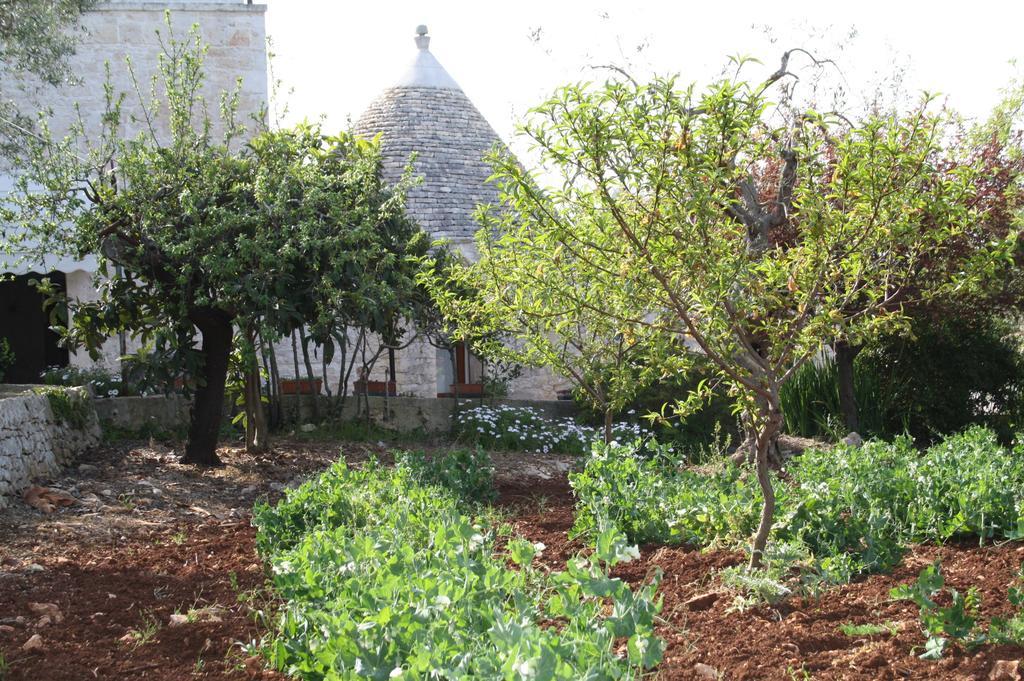 Гостевой дом Il Trullo Di Nonna Lella Кастеллана-Гротте Экстерьер фото
