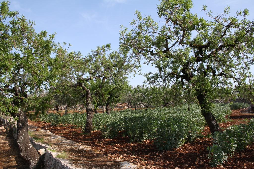 Гостевой дом Il Trullo Di Nonna Lella Кастеллана-Гротте Экстерьер фото